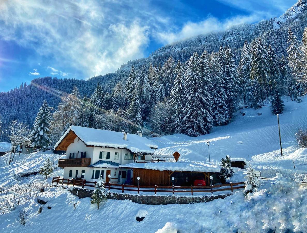 Cesa Vedla - Quite And Cozy Alpine Escape Ortisei Eksteriør bilde