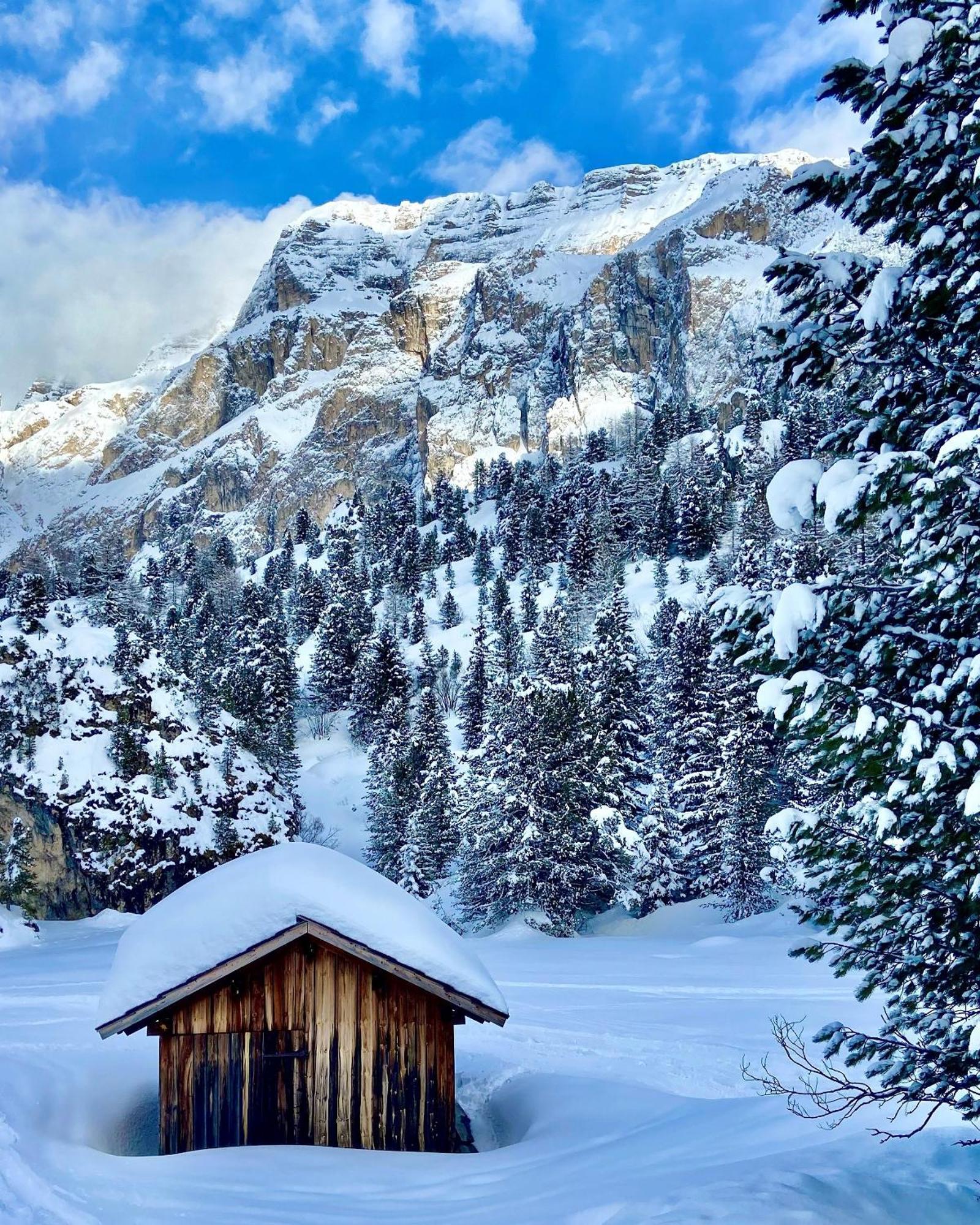 Cesa Vedla - Quite And Cozy Alpine Escape Ortisei Eksteriør bilde