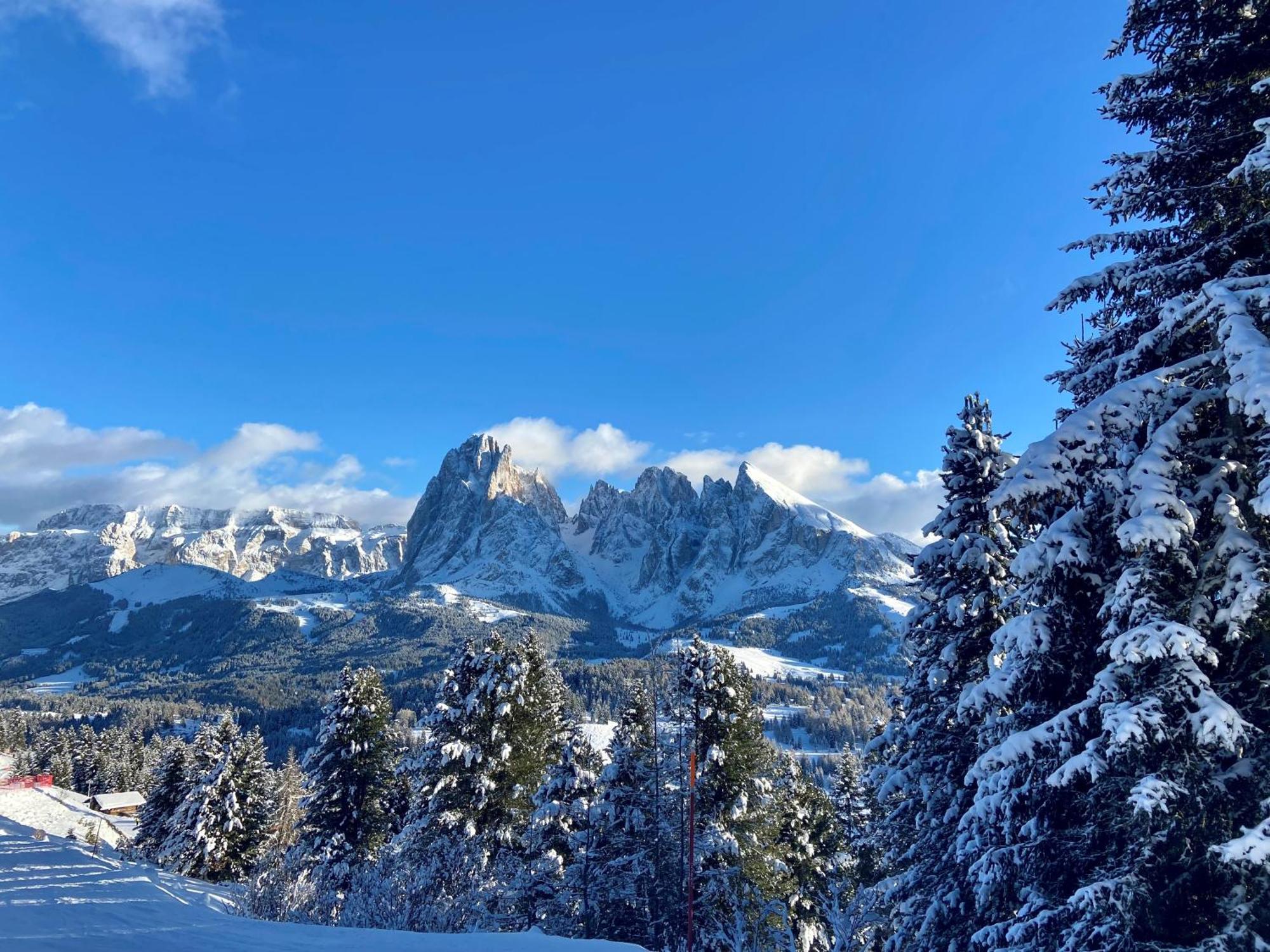 Cesa Vedla - Quite And Cozy Alpine Escape Ortisei Eksteriør bilde