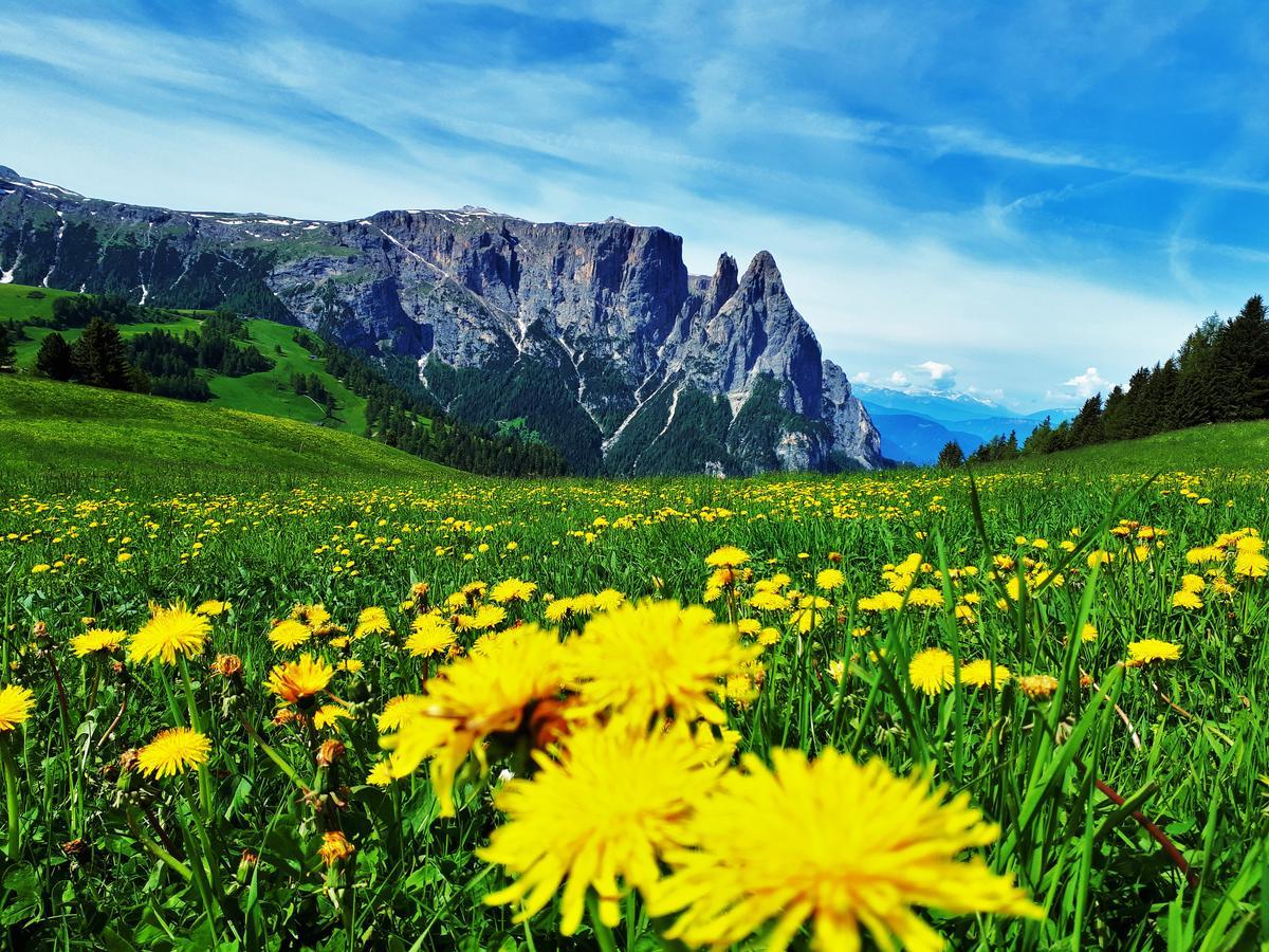 Cesa Vedla - Quite And Cozy Alpine Escape Ortisei Eksteriør bilde